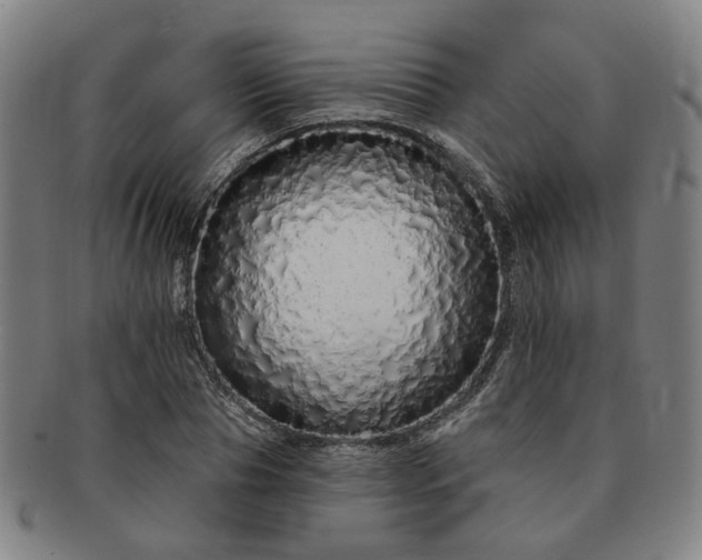 X0000091190929200708231505