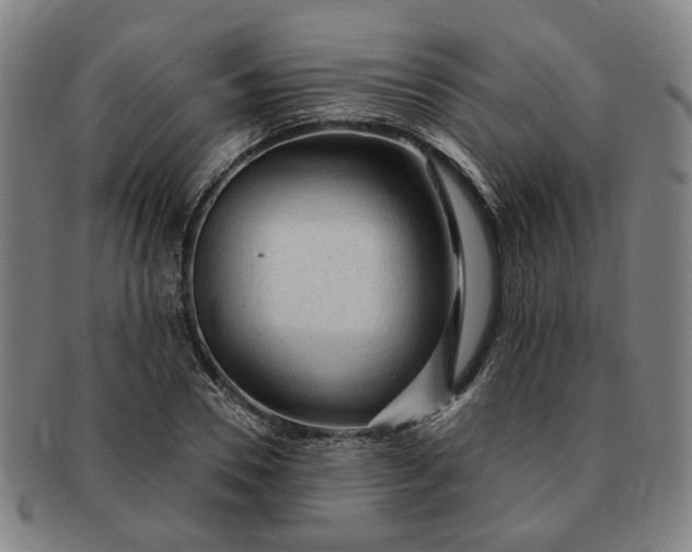 X0000091190930200708231505