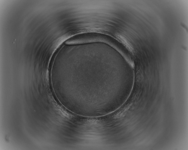 X0000091190932200708231505