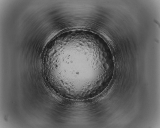 X0000091190933200708231505