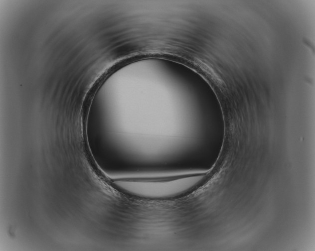 X0000091190934200708231505