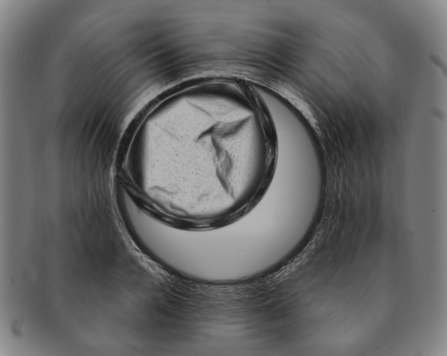 X0000091190936200708231505