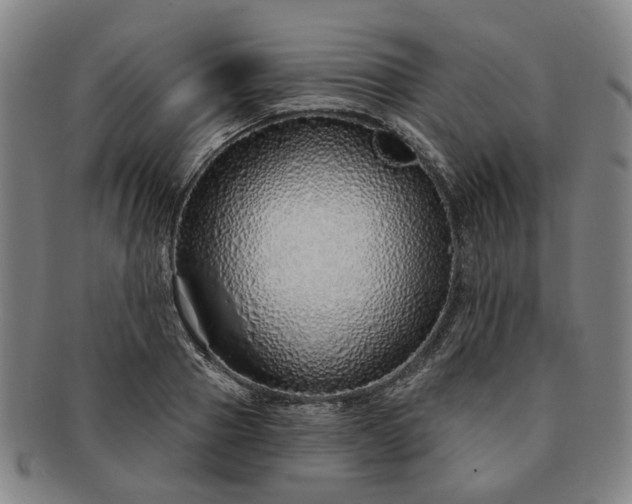 X0000091190937200708231505