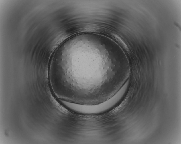 X0000091190938200708231505