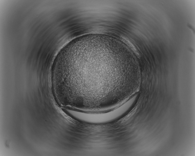 X0000091190939200708231505