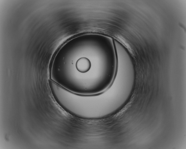 X0000091190940200708231505