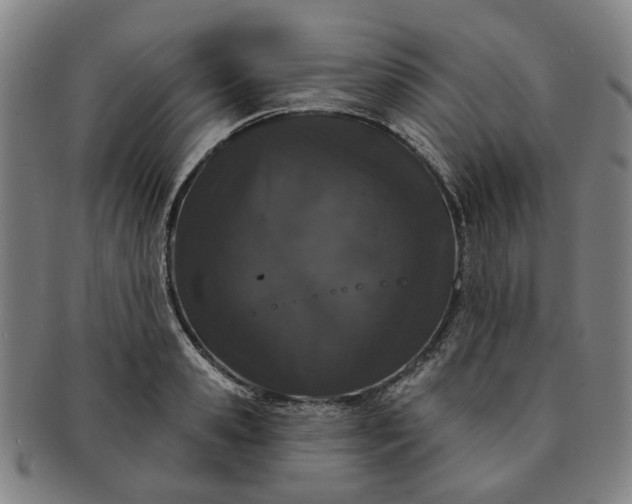 X0000091190941200708231505