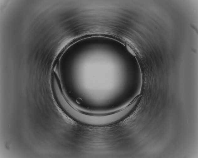 X0000091190942200708231505