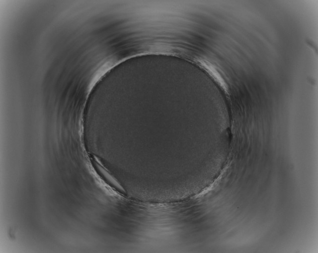 X0000091190944200708231505