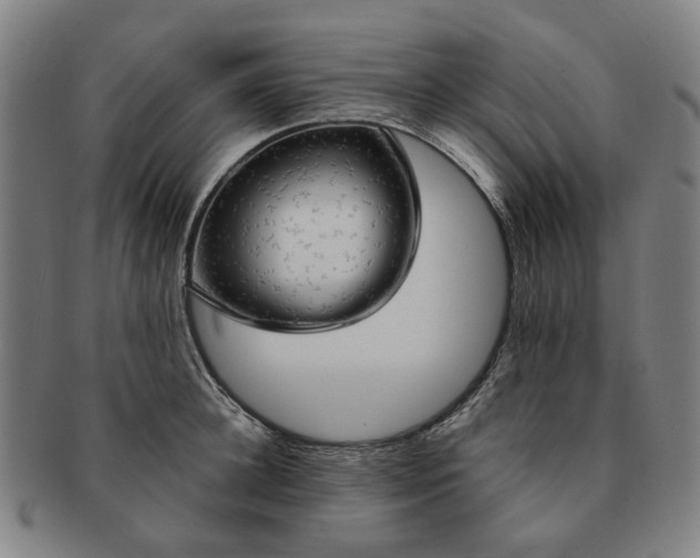 X0000091190948200708231505