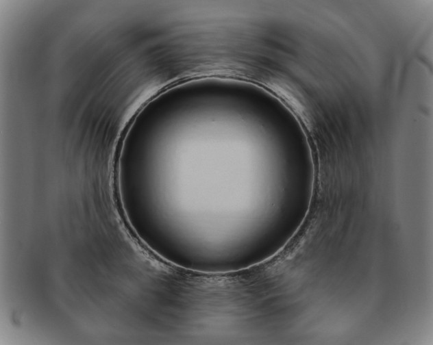 X0000091190949200708231506