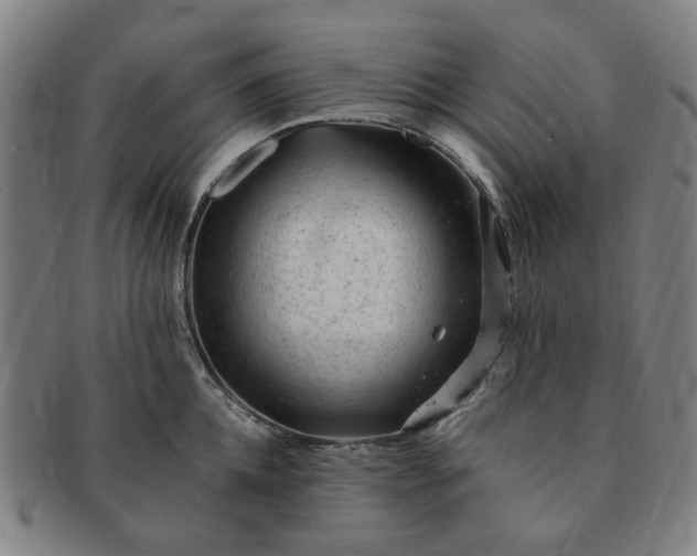 X0000091190952200708231506