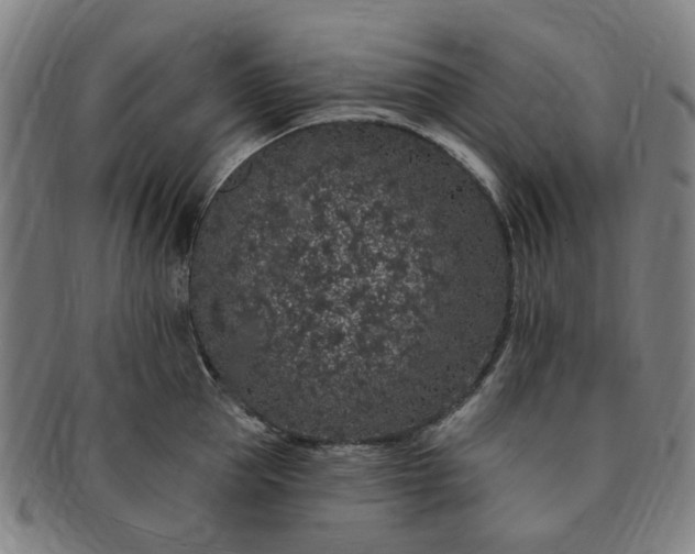 X0000091190953200708231506