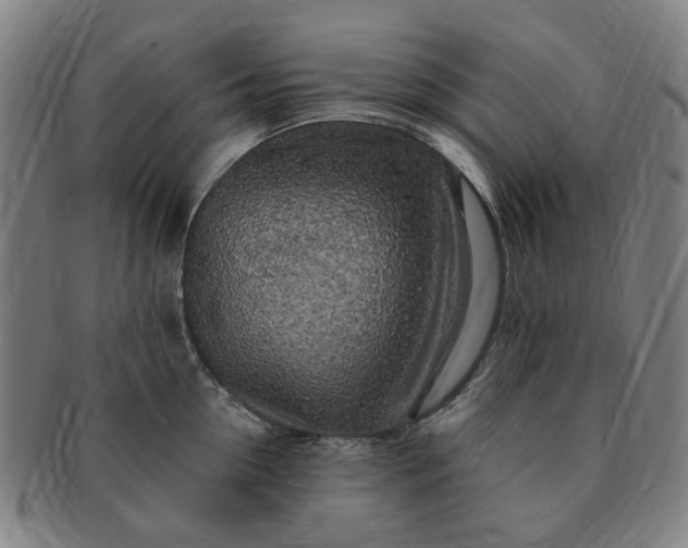 X0000091190954200708231506