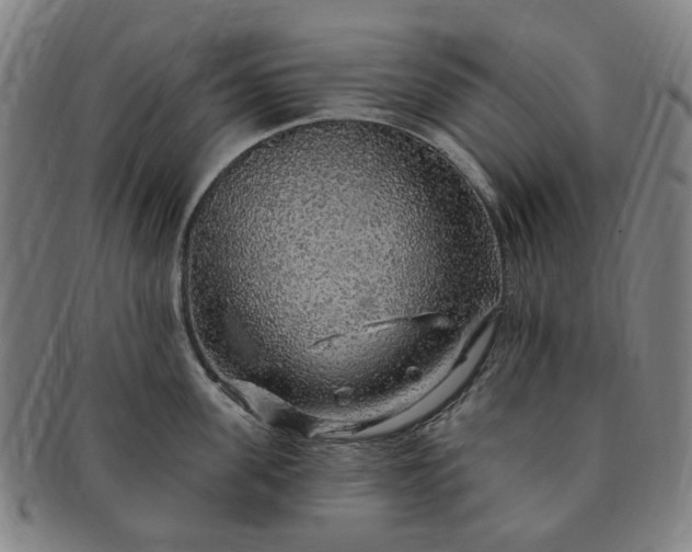 X0000091190955200708231506