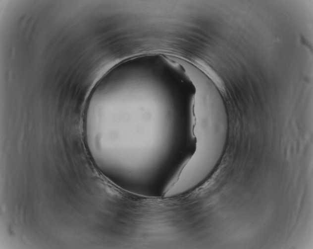 X0000091190956200708231506