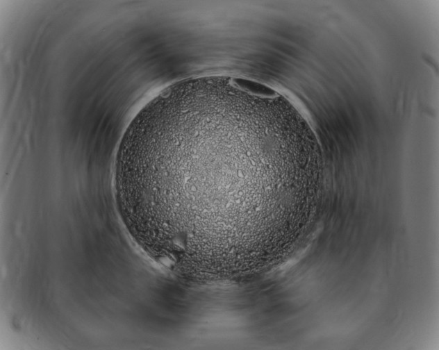 X0000091190957200708231506