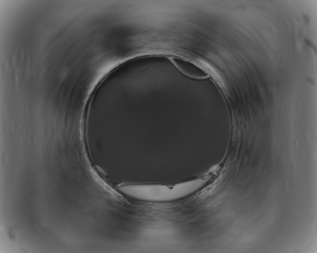 X0000091190958200708231506