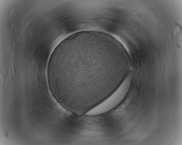 X0000091190959200708231506