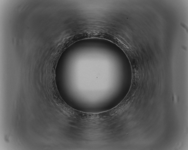 X0000091190961200708231505