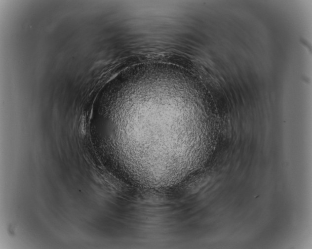 X0000091190962200708231505