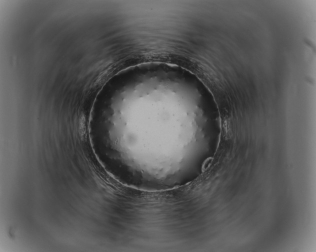 X0000091190963200708231505