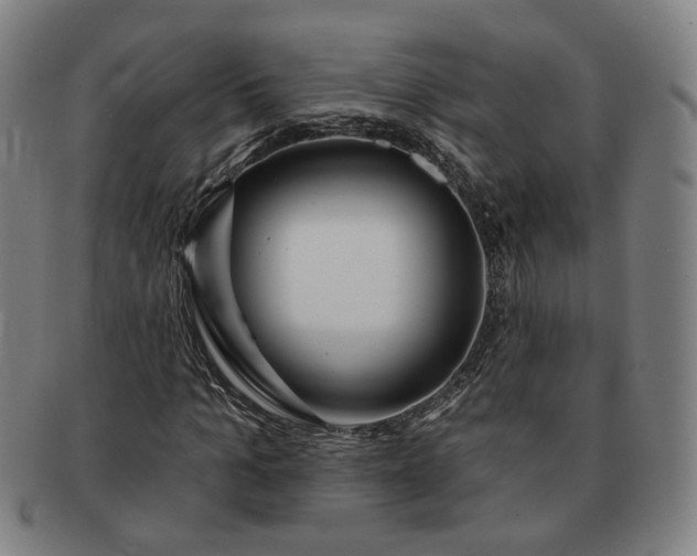 X0000091190965200708231505