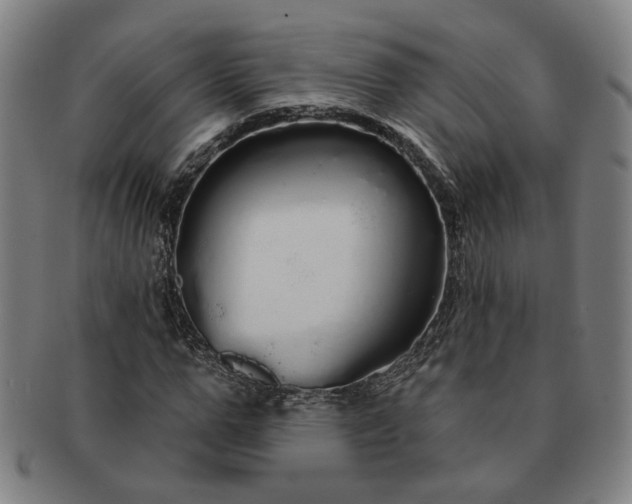 X0000091190967200708231505