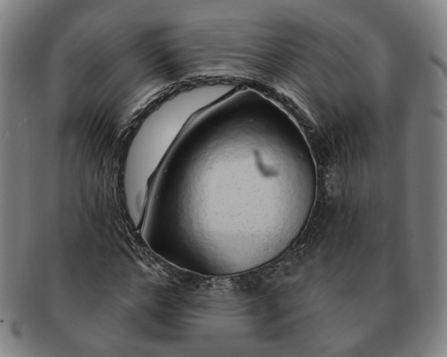 X0000091190968200708231505