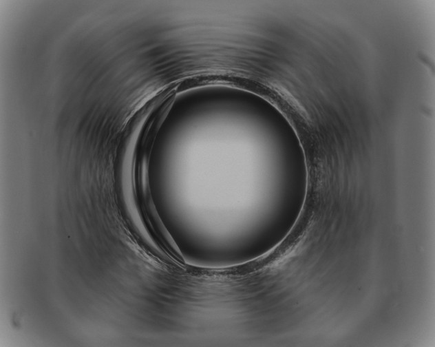 X0000091190969200708231505