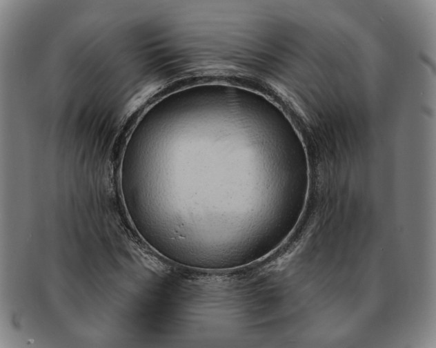 X0000091190970200708231505