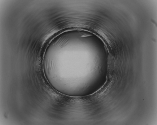 X0000091190971200708231505