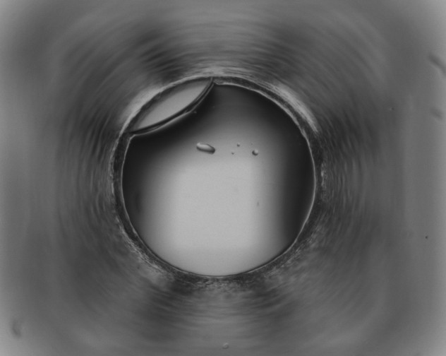 X0000091190972200708231505