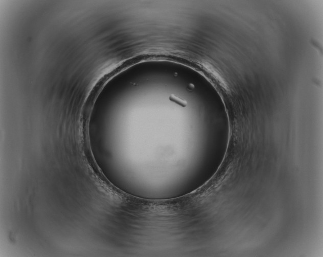 X0000091190976200708231505