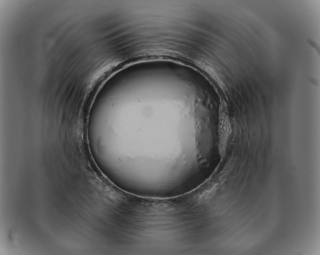 X0000091190979200708231505