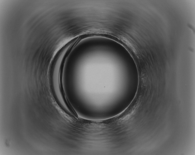 X0000091190981200708231505