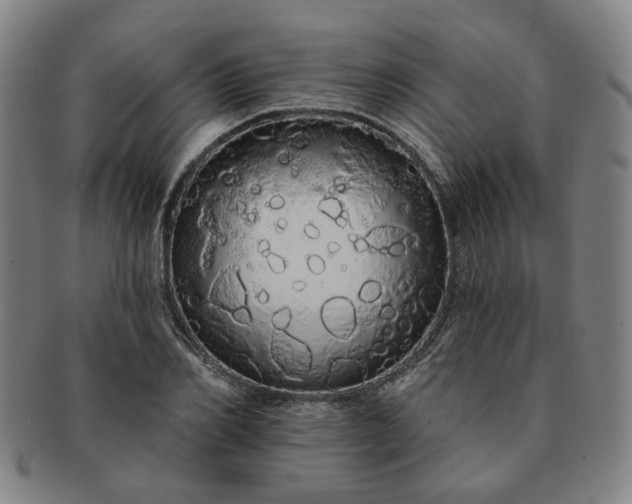 X0000091190982200708231505