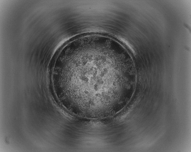 X0000091190983200708231505