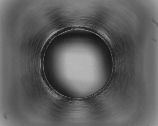 X0000091190984200708231505