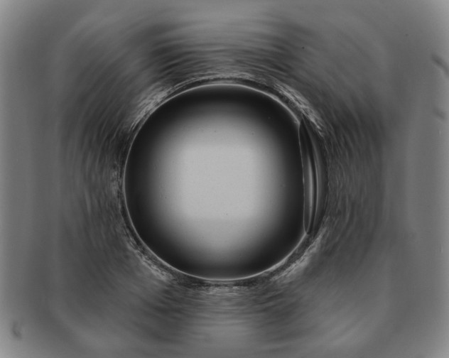 X0000091190985200708231505