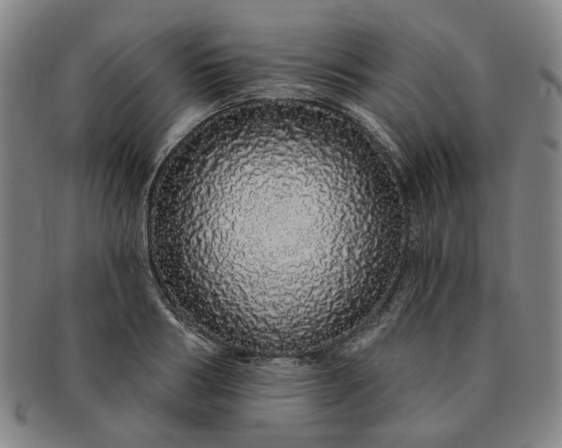 X0000091190986200708231505