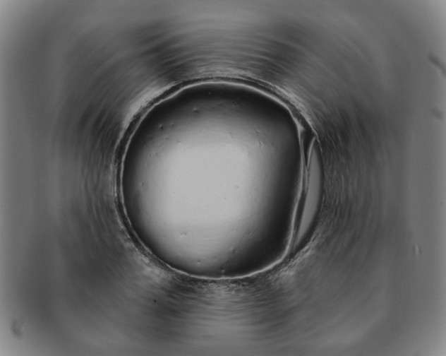 X0000091190987200708231505