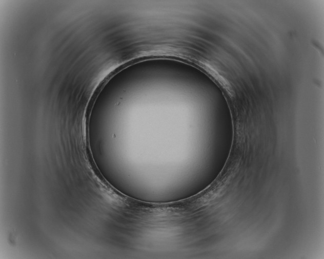 X0000091190988200708231505