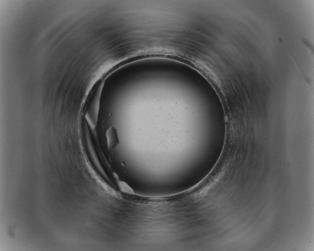 X0000091190989200708231505