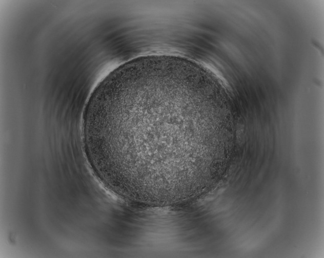 X0000091190990200708231505