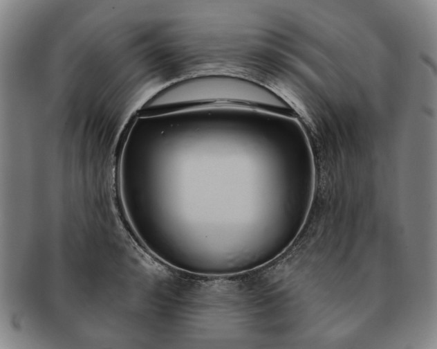 X0000091190992200708231505