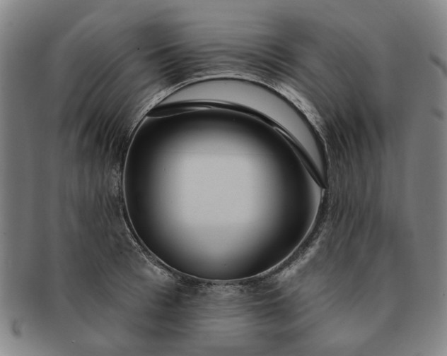 X0000091190993200708231505