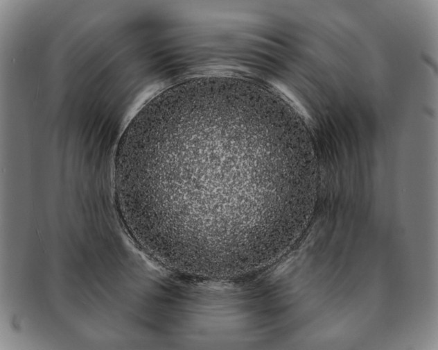 X0000091190994200708231504