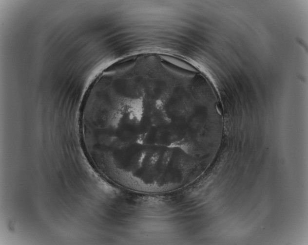 X0000091190995200708231504