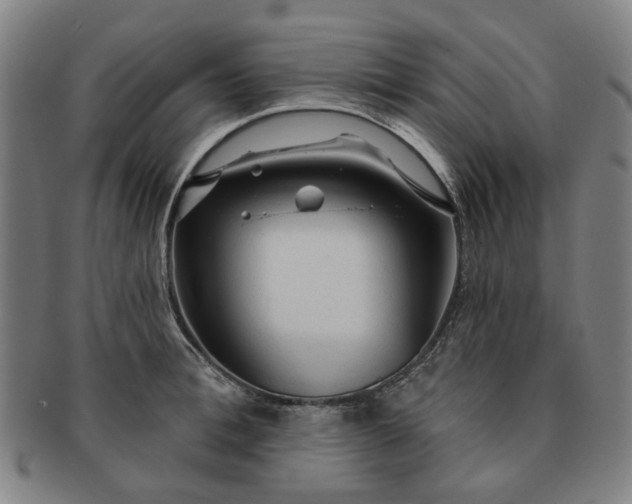 X0000091190996200708231504